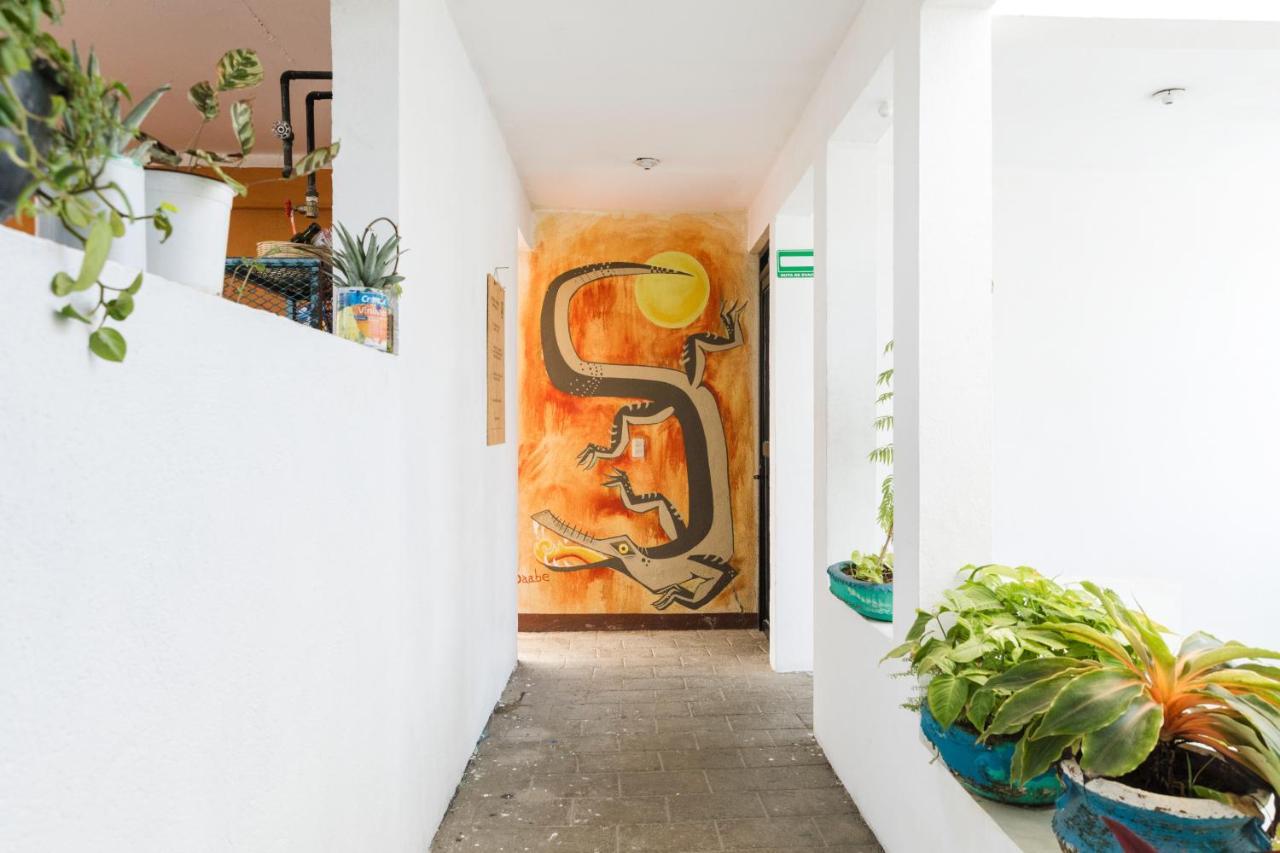 Hostel Residencia Artistica Puerto Escondido  Exterior foto